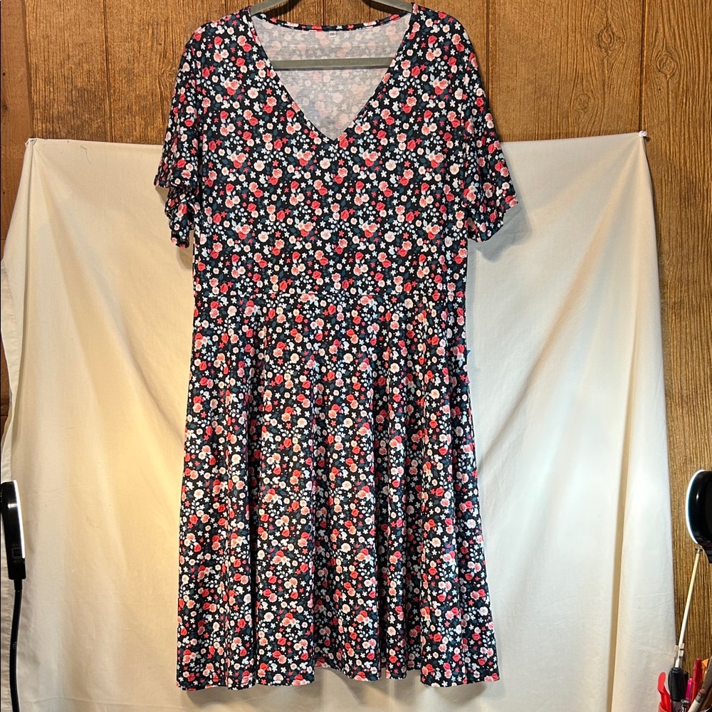 Woman’s Floral V-Neck Dress